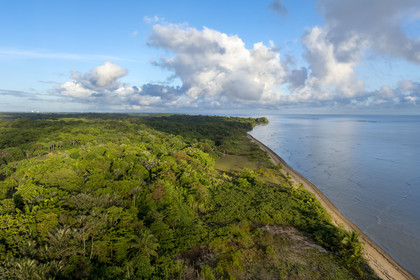 France, French Guiana, Kourou, wetlands, forests and savannas protected within the space centre and managed by the National Forestry Office (ONF), it is bordered to the Northeast by the Kourou beach (aerial view)