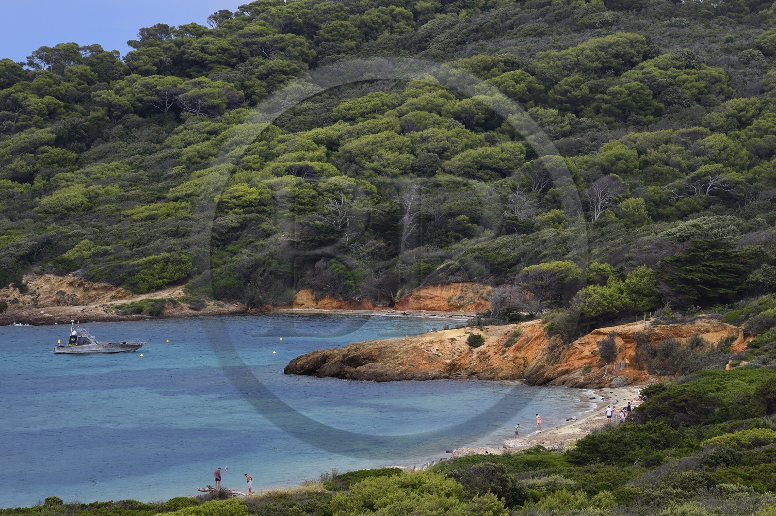 France, Var (83), Iles d'Hyères, parc national de Port Cros, Ile de Porquerolles, plage blanche du Langoustier
