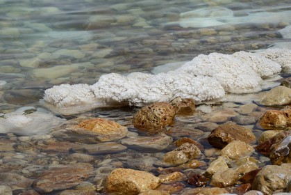 Israel, Southern District, Ein Gedi Beach on the Dead Sea, saline concretions