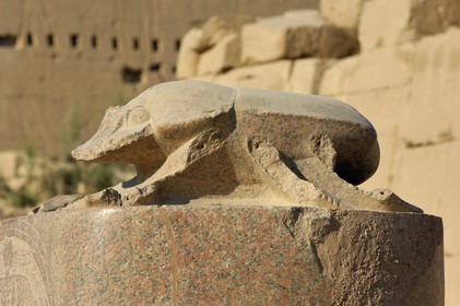 Egypt, Upper Egypt, Nile Valley, Luxor, Karnak Temple listed as World Heritage by UNESCO, scarab of Amenophis III
