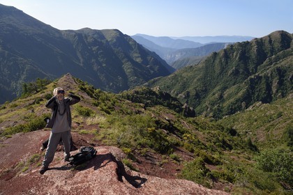 France, Alpes Maritimes, Mercantour Massif, L'Ilion, on the heights of the Gorges of Cians in red lutite soil