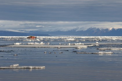 Groenland, cote Nord-Ouest, Smith sound au nord de la baie de Baffin, morceaux de glace de la banquise arctique et un PolarCirkel boat (zodiac) d'exploration du bateau de croisière MS Fram de la compagnie Hurtigruten, la côte canadienne de l'ile d'Ellesmere en arrière plan
