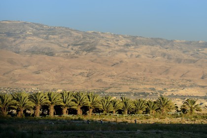 Israel, Northern District, Lower Galilee, the Jordan River valley and the mountains of Jordan in the background