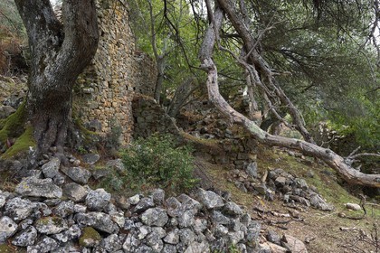 France, Corse-du-Sud (2A), région de Cargèse, les ruines grecques de Paomia qui fut la première implantation de la colonie grec avant Cargèse