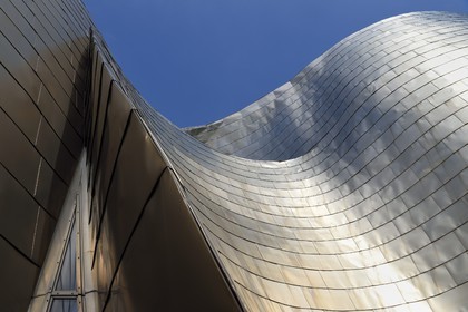 Espagne, Pays basque espagnol, Biscaye, Bilbao, le musée Guggenheim de l'architecte Frank Gehry, détail d'une facade en titane