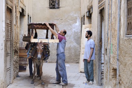 Maroc, Moyen Atlas, Fès, ville impériale, médina classée Patrimoine Mondial de l'UNESCO, l'âne est le seul moyen de transport dans Fès el Bali