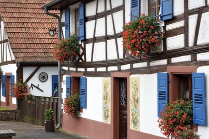 France, Bas-Rhin (67), Parc naturel régional des Vosges du Nord, Obersteinbach, maison traditionnelle à pans de bois dans la rue principale