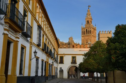 Espagne, Andalousie, Séville, la Giralda vue depuis la Cour des Drapeaux (Patio de Banderas)