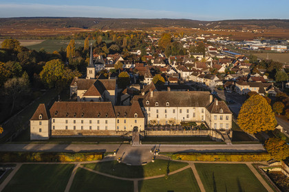France, Cote d'Or, cultural Landscape of the climates of Burgundy listed as World Heritage by UNESCO, Route des Grands Crus (road of Vintage Wines), Gilly les Citeaux, Chateau de Gilly, luxury Hotel and Restaurant, the vineyards in the background (aerial view)