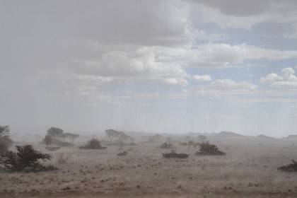 Namibie, région de Khomas, désert du Namib à l'Est du parc national Namib Naukluft sous une pluie d'orage