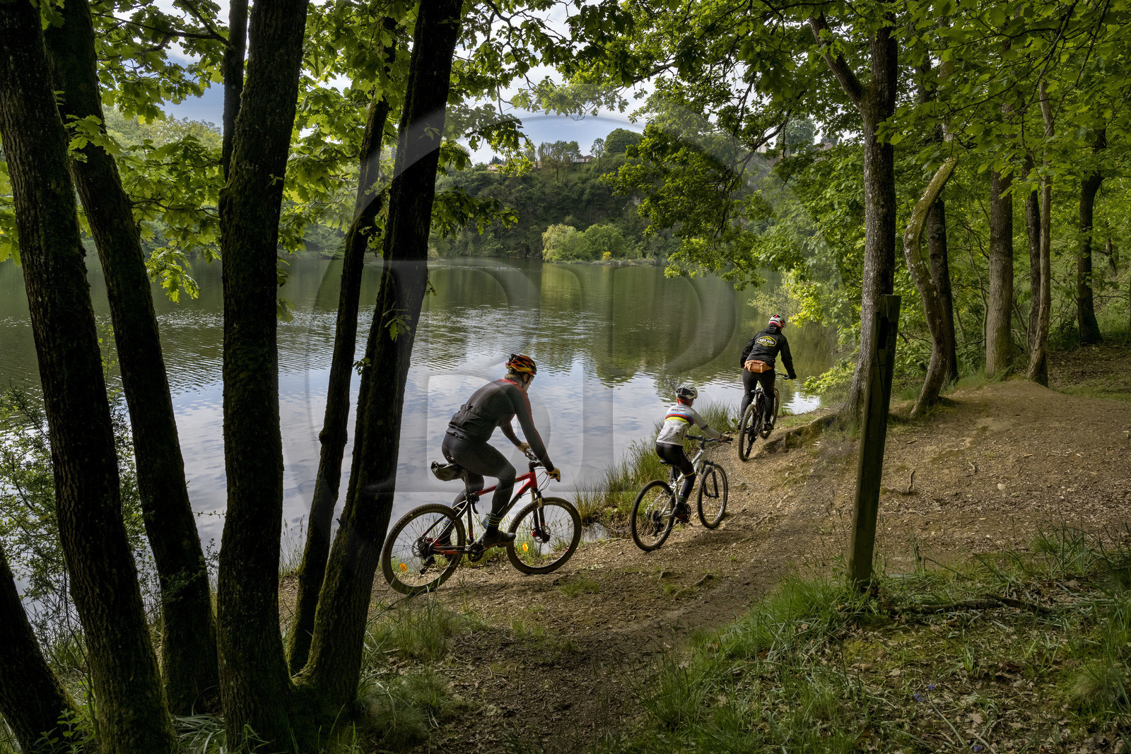 France, Vendée (85), Mervent, cyclistes dans la forêt de Mervent où les eaux des rivières la Mère et la Vendée se rejoignent