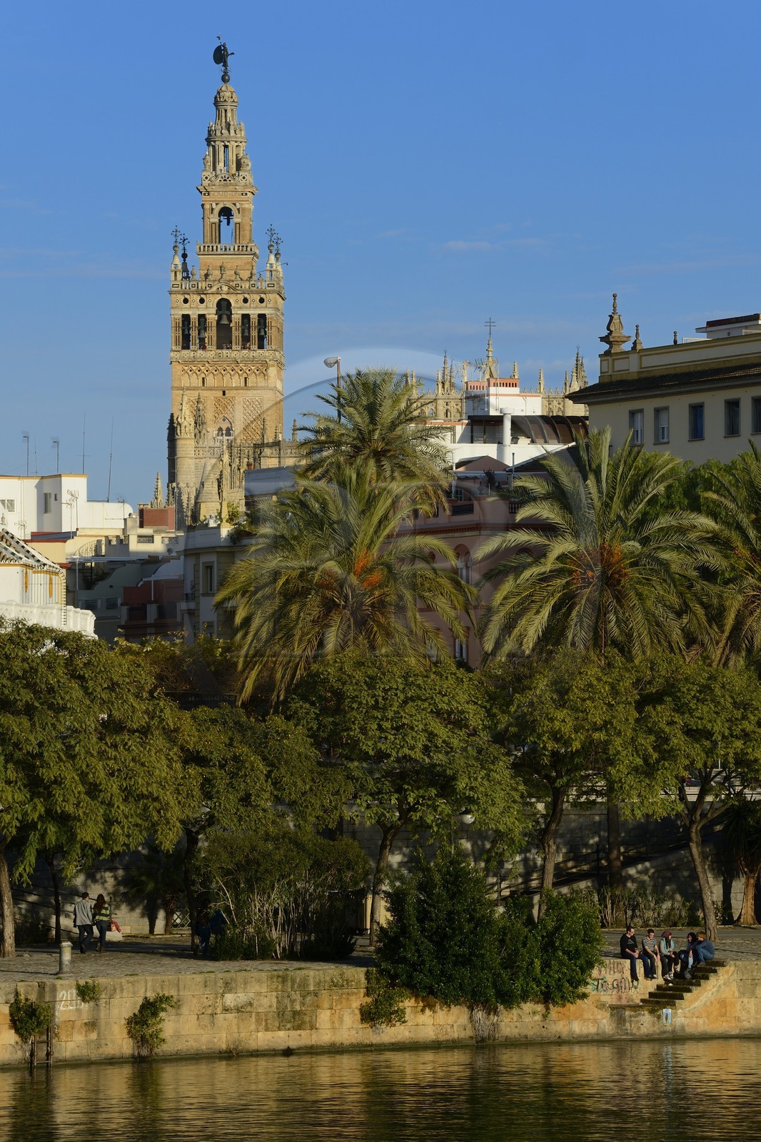 Espagne, Andalousie, Séville, en bordure du fleuve Guadalquivir, La Giralda