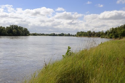 France, Nièvre (58), La Charité-sur-Loire, les bords de Loire le long du sentier du castor