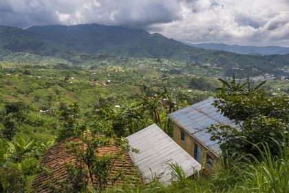 Rwanda, Province du Nord, habitat dispersé dans les collines vers Nyarutovu