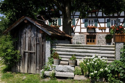 Germany, Black Forest, Schwarzwald, Baden-Württemberg, Ottenhöffen, traditional farm