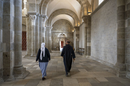 France, Yonne (89), parc naturel régional du Morvan, Vézelay, classé au Patrimoine Mondial de l'UNESCO, labellisé Les Plus Beaux Villages de France, point de départ de l'une des principales voies de pèlerinage de Saint-Jacques-de-Compostelle, la basilique Sainte-Marie-Madeleine