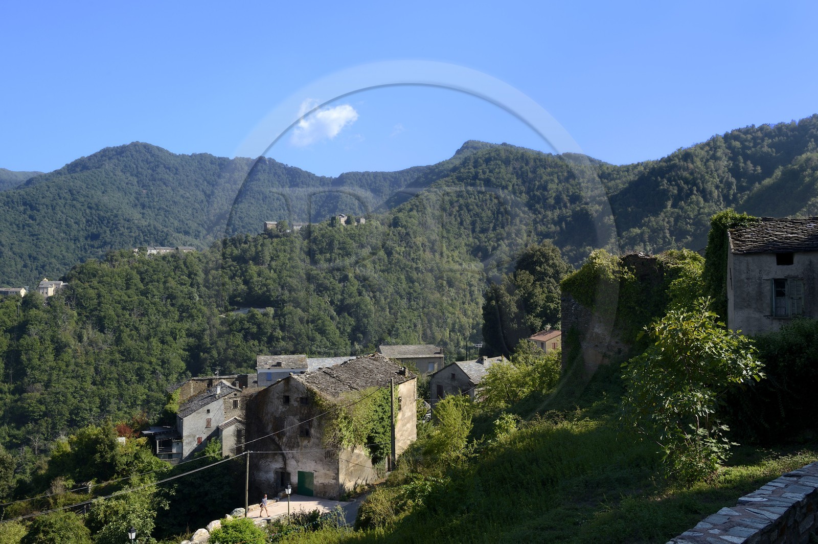France, Haute-Corse (2B), Castagniccia, le village de Rapaggio