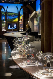 France, Côte-d'Or (21), les climats de Bourgogne classés Patrimoine Mondial de l'UNESCO, Beaune, la Cité des vins et climats de Bourgogne,  expériences sensorielles