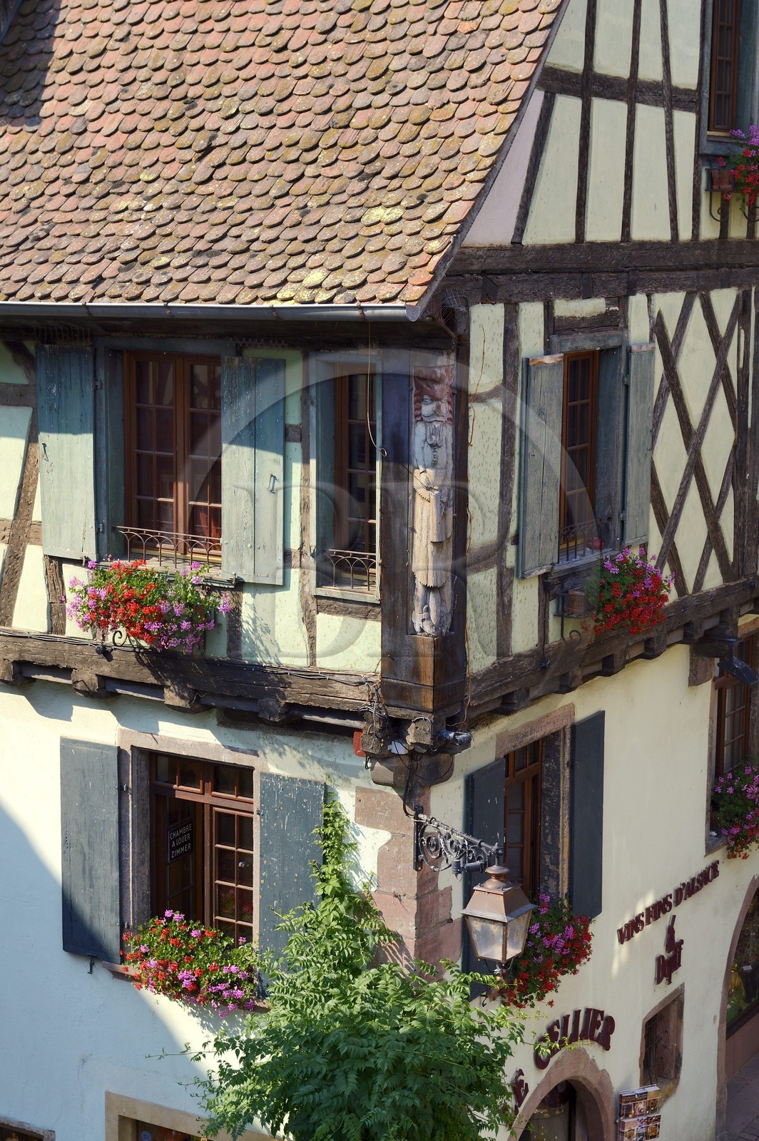 France, Haut-Rhin (68), Riquewihr, labellisé Les Plus Beaux Villages de France, maison à pans de bois