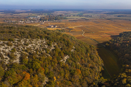 France, Cote d'Or, cultural Landscape of the climates of Burgundy listed as World Heritage by UNESCO, Vougeot, Route des Grands Crus (road of Vintage Wines), view of the Combe d'Orveaux and the Chateau du Clos de Vougeot surrounded by vineyards in the Climats terroirs of Burgundy in the background (aerial view)