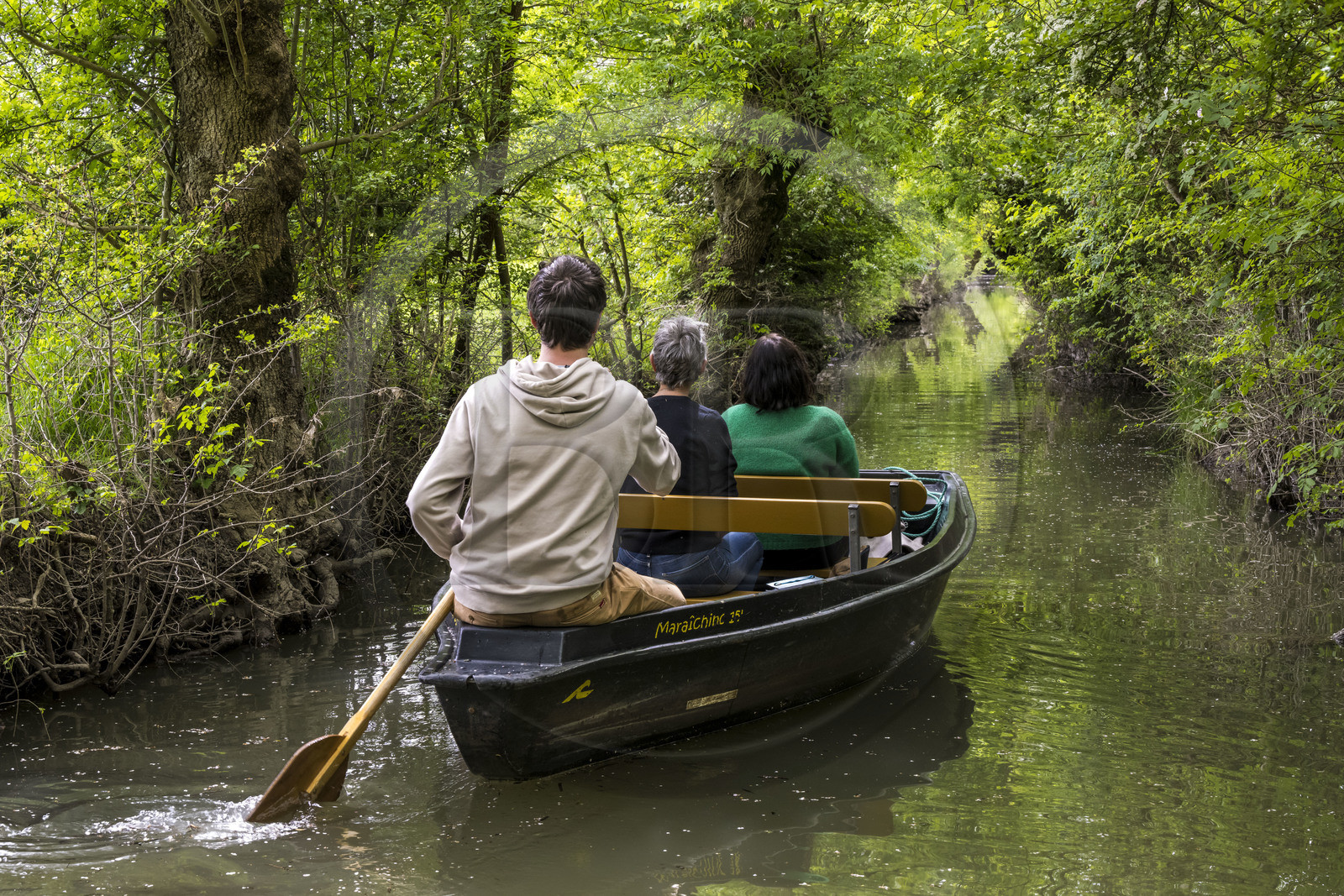 France, Vendée (85), Parc Interrégional du Marais Poitevin labellisé Grand Site de France, Maillezais, batelier effectuant une promenade en barque dans les conches sur les affluents de l'Autise