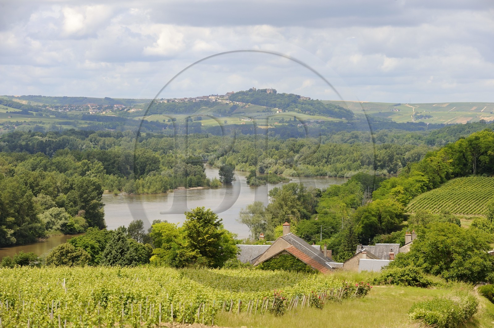 France, Nièvre (58), la Loire au village viticol des Loges vers Pouilly-sur-Loire, au fond le village de Sancerre