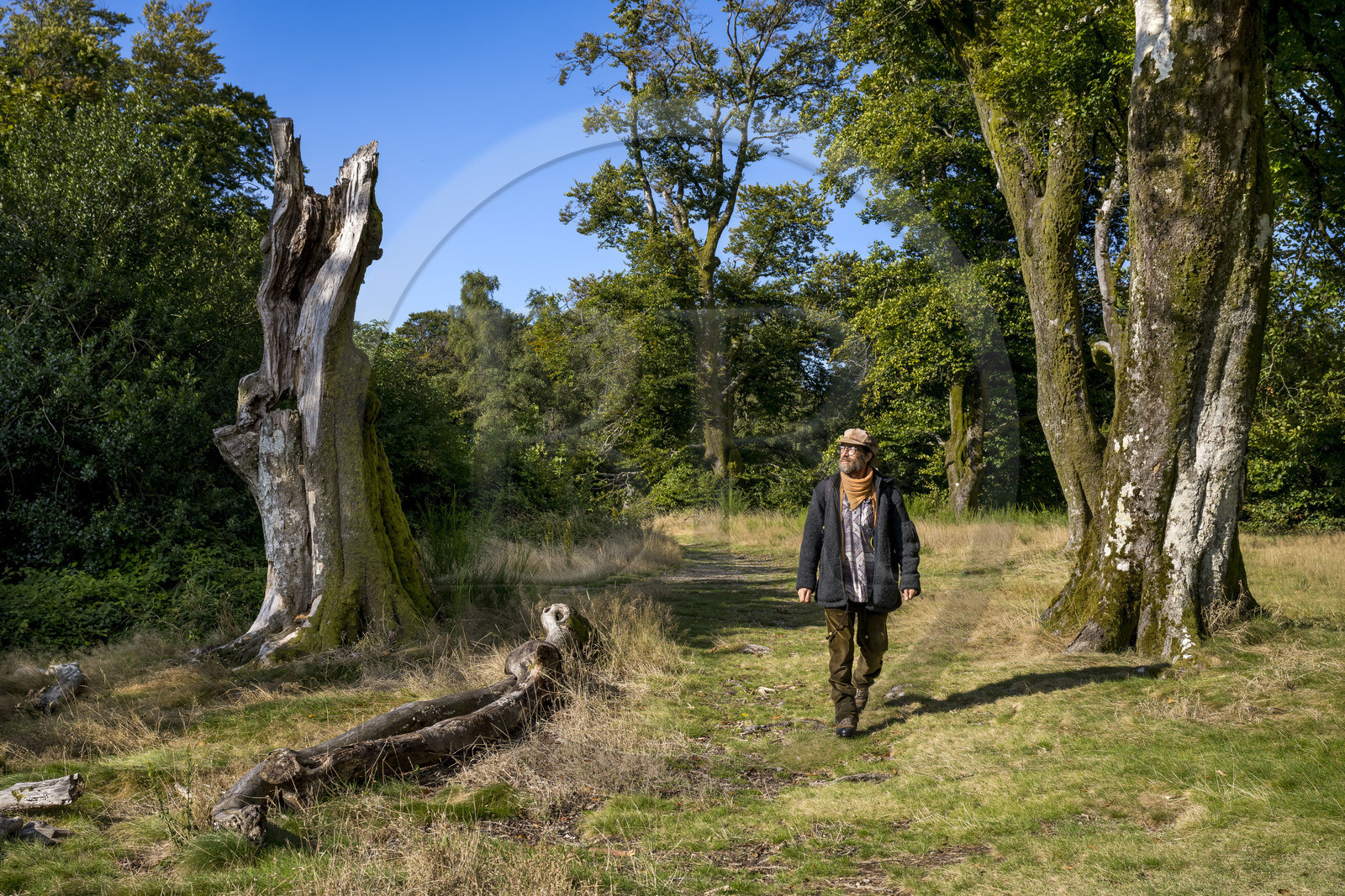 France, Saône-et-Loire (71), parc naturel régional du Morvan, Saint-Léger-sous-Beuvray, oppidum de Bibracte, capitale du peuple celte des Éduens, site archéologique sur le mont Beuvray