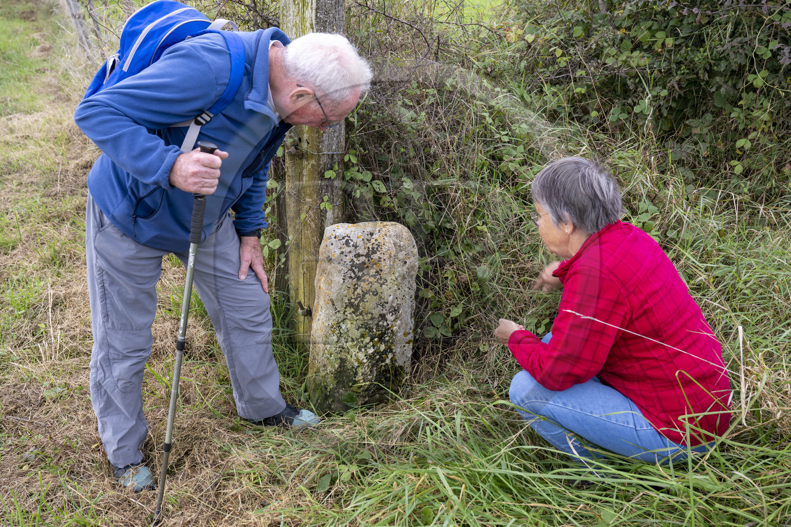 France, Côte-d'Or (21), Corsaint, ancienne borne de séparation entre l'évèché de Langres et celui de Sens, on devine un la silhouette d'évèque gravée