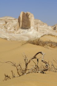 Egypt, Libyan Desert, the White Desert North of Farafra