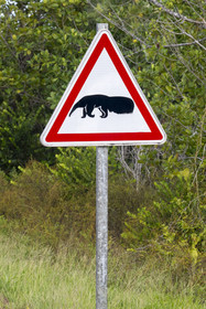 France, French Guiana, Kourou, Guiana Space Centre (Centre spatial guyanais, CSG) also called Europe's Spaceport, Road signs on the road to Espace warn of the potential crossing of anteaters