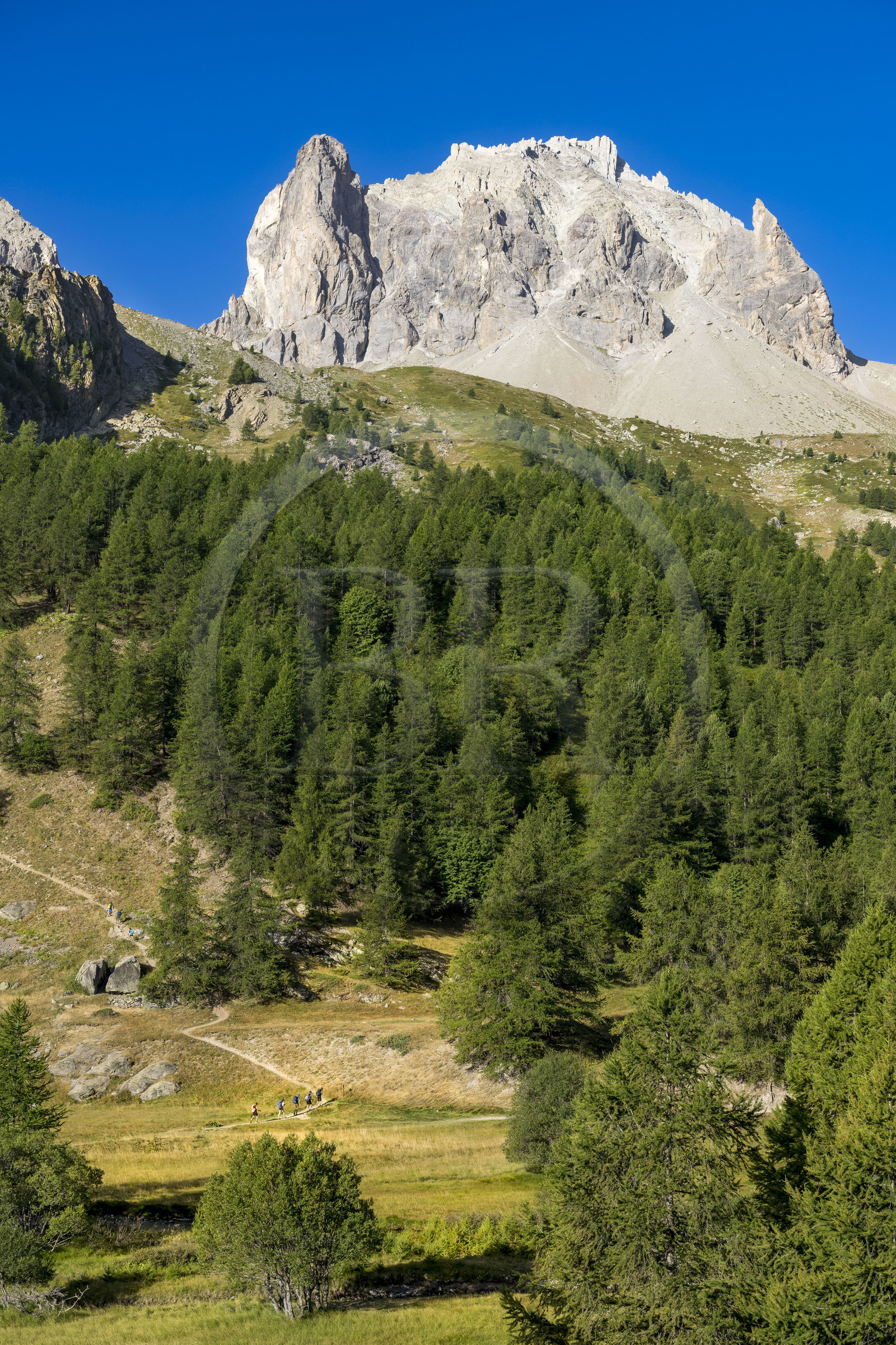 France, Hautes Alpes (05), le Briançonnais, Névache, randonneurs dans la vallée de la Clarée, le massif des Cerces en arrière-plan