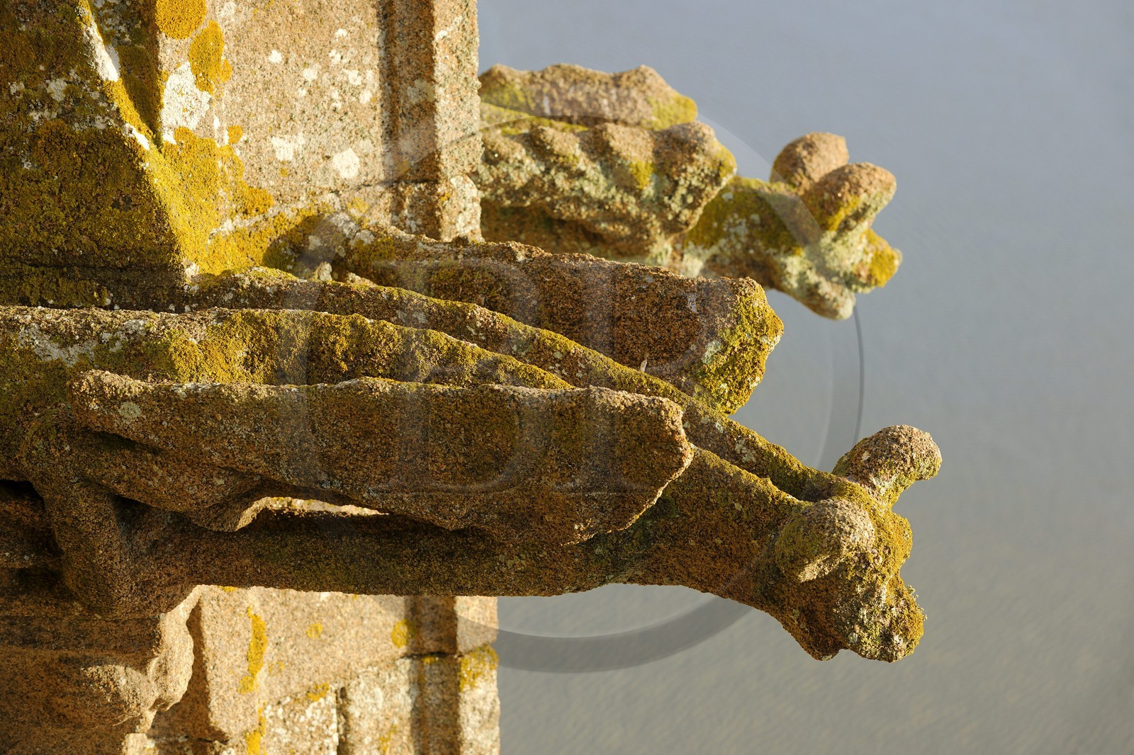 France, Manche (50), l'abbaye du Mont-Saint-Michel, classé Patrimoine Mondial de l'UNESCO, les gargouilles de l'église France, Manche (50), l'abbaye du Mont-Saint-Michel, classé Patrimoine Mondial de l'UNESCO, les gargouilles de l'église