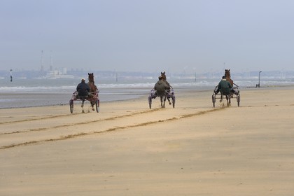 France, Calvados, Pays d'Auge, Deauville, trotting carriages on the beach at low tide