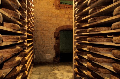 France, Doubs, Fort Saint Antoine, Comte mountain cheese maturing cellar