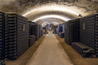 France, Cote d'Or, Climats terroirs of Burgundy listed as World Heritage by UNESCO, Beaune, the cellars of Maison Patriarche, a wine merchant-breeder company, interspersed with contemporary works of art from the In Situ gallery, Angel XXV (2007) by the artist Alessandro Montalbano