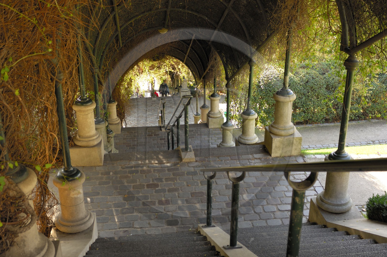 France, Paris (75), le Parc de Belleville
