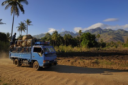Tanzanie, région de Morogoro, les Monts Uluguru, la piste de Matombo