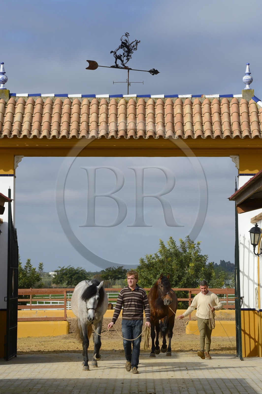 Espagne, Andalousie, province de Séville, Utrera, le haras Ayala (Yeguada Ayala), Pure race espagnole ou PRE (Pura Raza Espanola) Espagne, Andalousie, province de Séville, Utrera, le haras Ayala (Yeguada Ayala), Pure race espagnole ou PRE (Pura Raza Espanola)