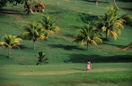 Jamaica, maintenance of the golf course of the Tryall hotel in Montego bay