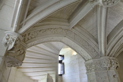 France, Dordogne, Périgord Vert, Villars, Puyguilhem castle, the Grand Staircase