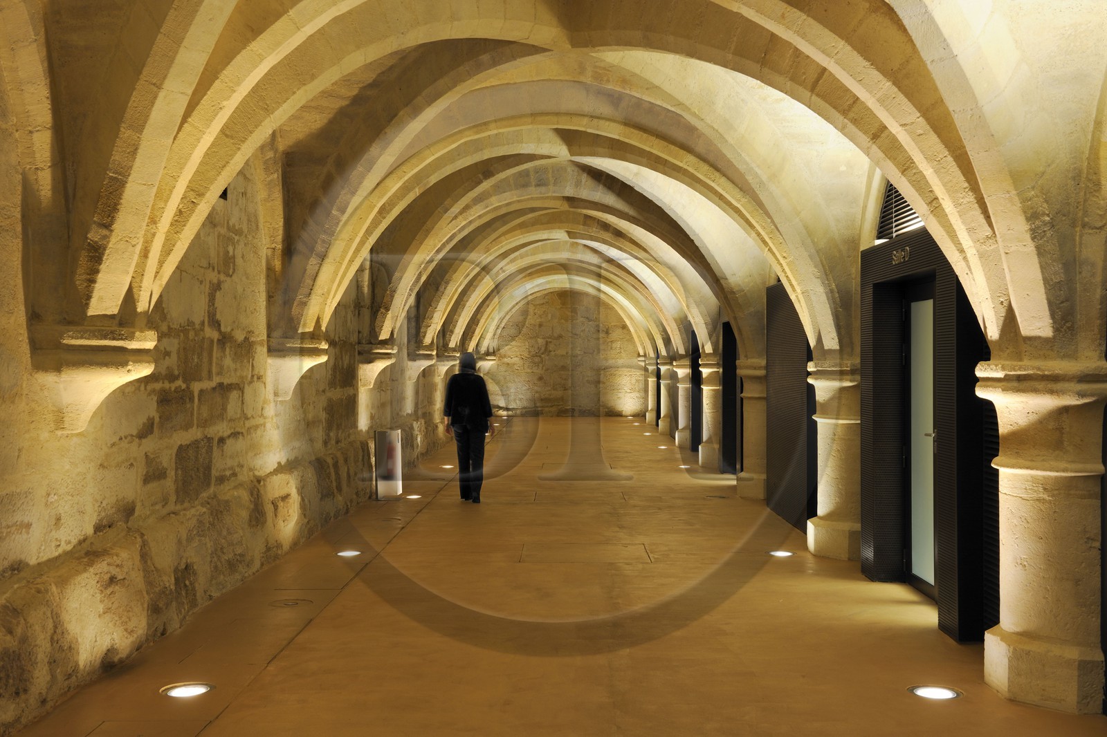 France, Paris (75), le Collège des Bernardins, l'ancien cellier au sous-sol