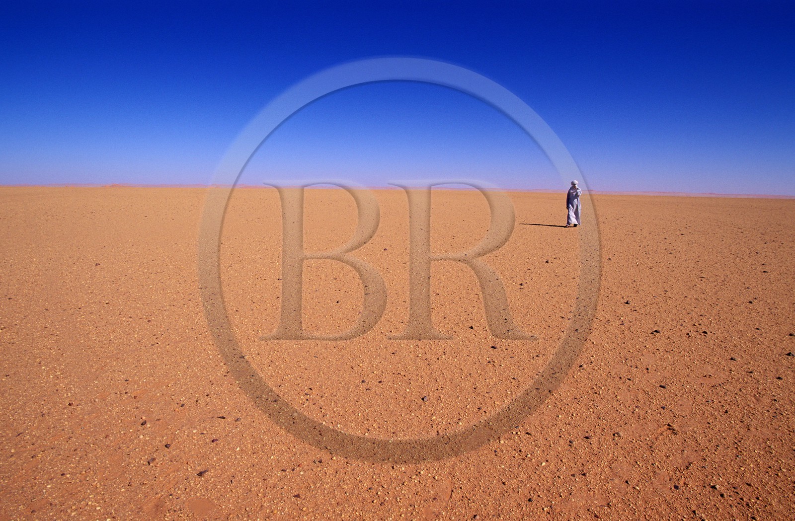Libye, région du désert, Le Fezzan (Sahara), Messak Mellet (Messak blanc) grand plateau nu