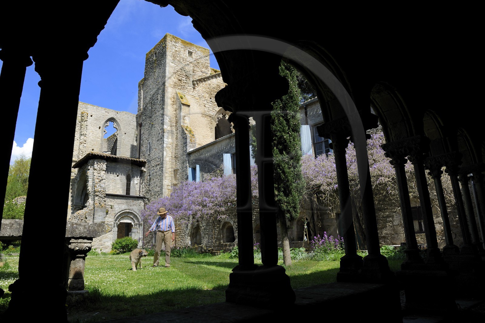 France, Aude (11), Saint-Martin-le-Vieil, ancienne abbaye cistercienne de Villelongue et chambre d'hôte, l'ancienne abbatiale depuis le cloître
