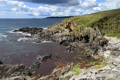 France, Finistère (29), Moelan-sur-Mer, le littoral entre Kerfany les Pins et la plage de Trenez sur le chemin de Grande Randonnée GR 34 ou sentier des douaniers