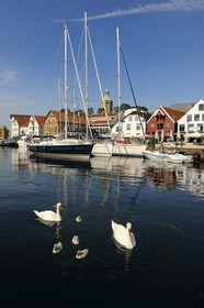 Norway, Rogaland County, Stavanger, pleasure boats and swans in the old harbour (Vagen)