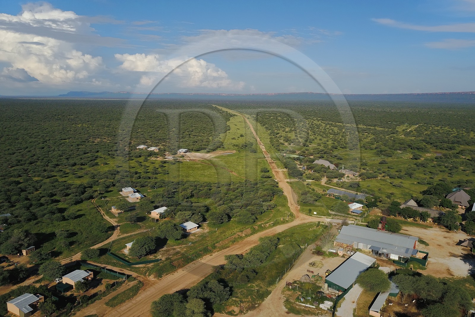 Namibie, Otjiwarongo, Cheetah Conservation Fund, centre de recherche et d'