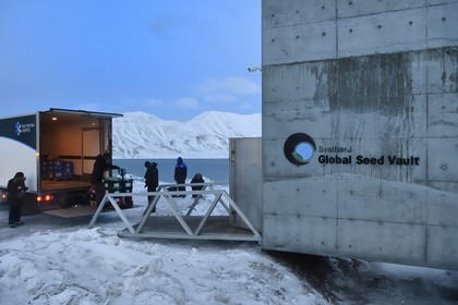 Norway, Svalbard, Spitzbergen, Longyearbyen, Svalbard Global Seed Vault (Seed Bank) provides a safety back-up for existing genebank collections, seed delivery by NordGen