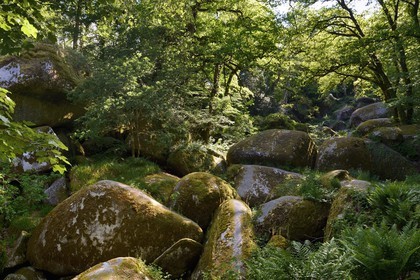 France, Finistere, Parc Naturel Regional d'Armorique (Armorique Natural Regional Park), Huelgoat, granitic chaos of the Huelgoat forest