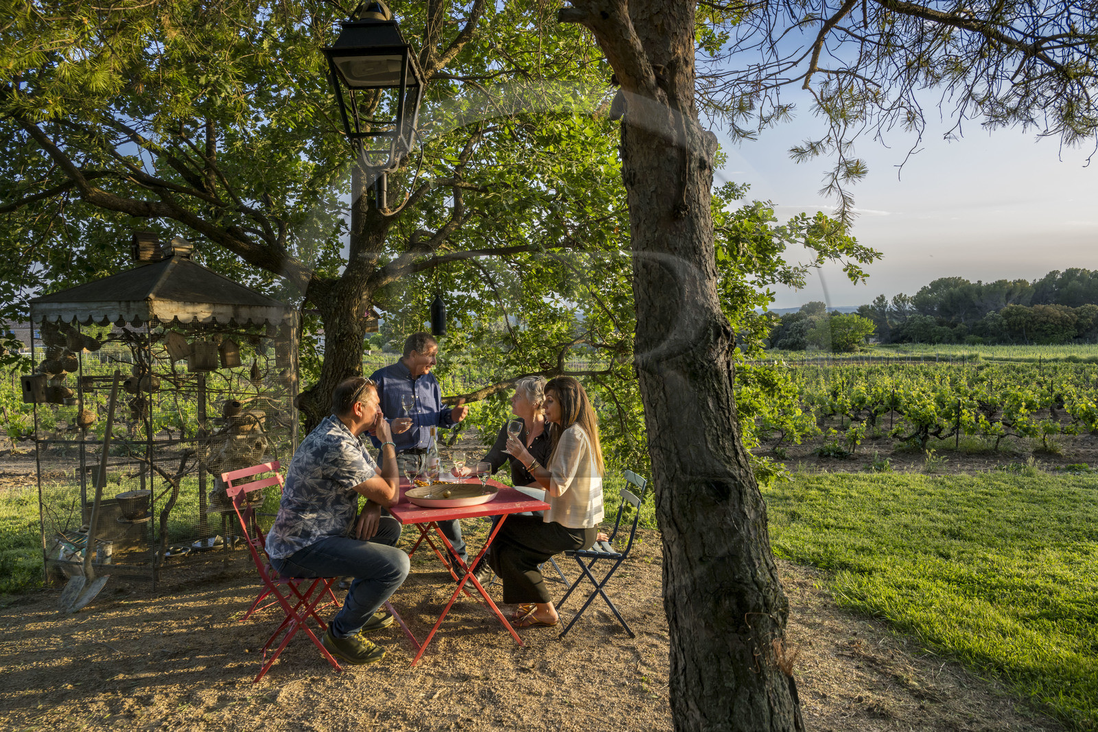 France, Vaucluse (84), Dentelles de Montmirail, Beaumes-de-Venise, Mas de l’Evajade, la maison d’hôtes vigneronne de Corinne et Pascal Bernard