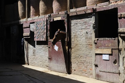 France, Saône et Loire (71), Cluny, l'élevage de Merzé, martinot.fr